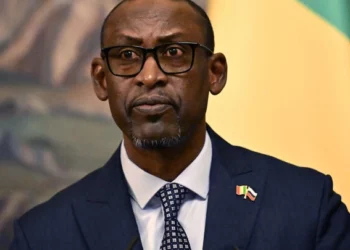 Pourquoi le Mali accuse la France de soutenir des jihadistes?
