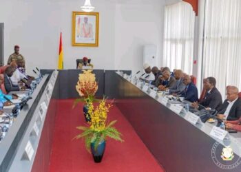 Col. Doumbouya relève « la lenteur des procédures administratives » (conseil des ministres)