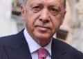Avec 52,16 % des voix, Recep Tayyip Erdogan réélu à la tête de la Turquie