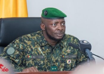 La Guinée suspend sa participation à l’OMVS