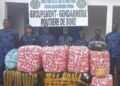 Boké : 478,5 kg de chanvre indien saisis par la gendarmerie