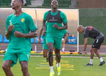 CAN 2023 : après deuxième journée, le Syli National entre en lice ce lundi