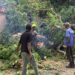 Conakry : un gros baobab tombe sur la maison de l’imam de la mosquée Faycal, à Camayenne