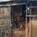 Siguiri : un incendie fait trois morts et plusieurs blessés à Kintinian