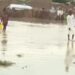 Niger : des inondations font au moins 94 morts et plus de 135 000 sinistrés