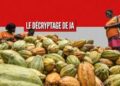 En Côte d’Ivoire, les autorités s’attaquent au trafic de cacao
