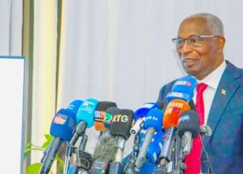 Violation des droits de l’Homme en Guinée: « L’Etat n’a plus le monopole… » (Bah Oury)
