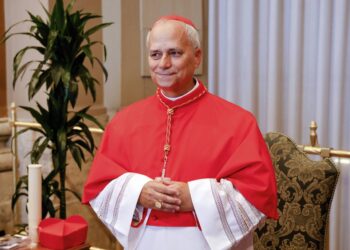 le cardinal américain Robert Francis Prevost devient Léon XIV