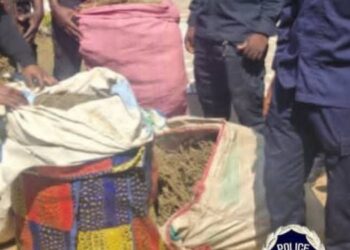 Faranah : près de 600 kg de chanvre indien interceptés par la police