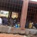 Mali: 60 guinéens placés en détention à Bamako pour des “faits graves”…