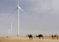 Sahara occidental: le Conseil de sécurité de l&rsquo;ONU apporte son soutien au plan marocain