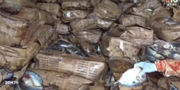 Frontière Guinée-Sénégal : près de 30 tonnes de poissons pourris saisies et incinérées à Koundara