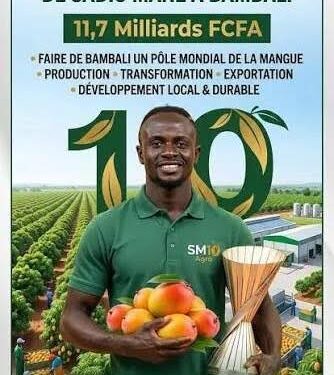 Sénégal: Sadio Mané pose la première pierre de son projet de parc agro-industriel dédié à la mangue